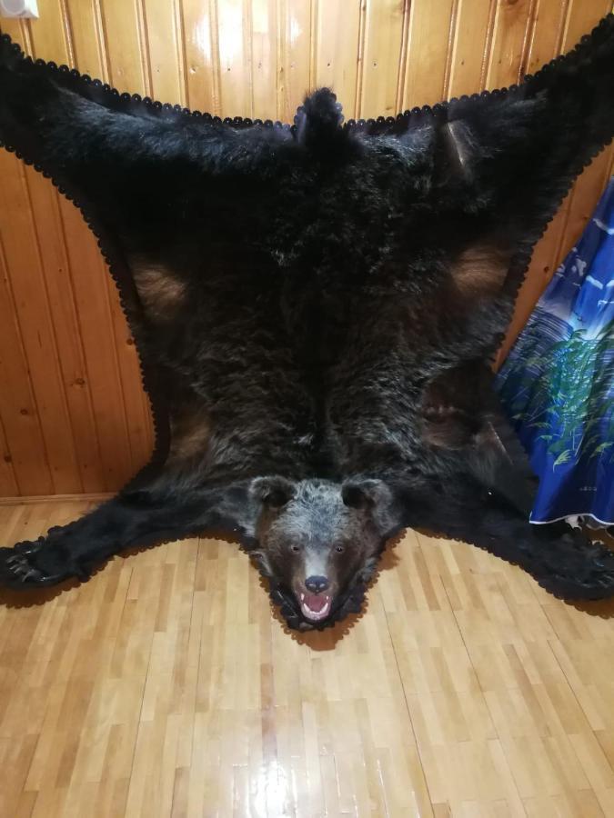 فيلا Casa Alesi Dragoslavele المظهر الخارجي الصورة