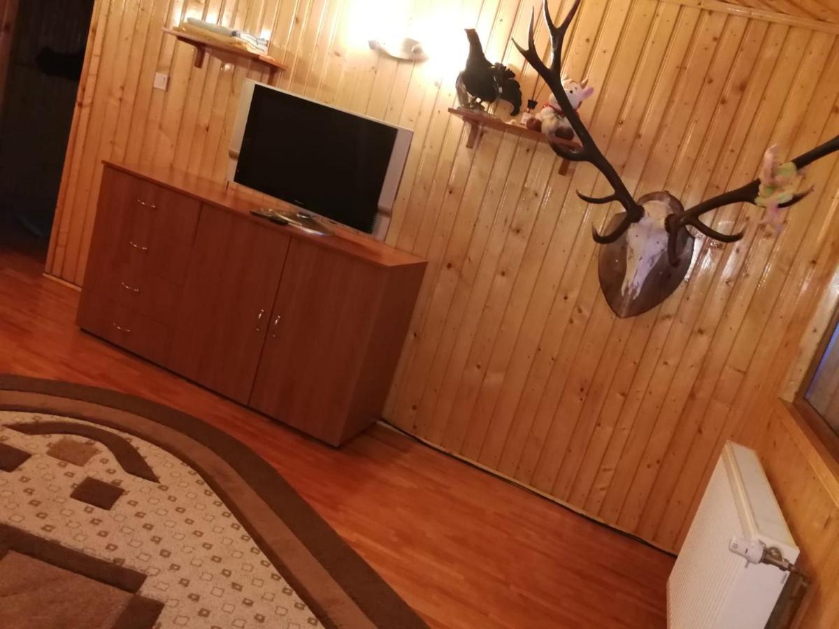 فيلا Casa Alesi Dragoslavele المظهر الخارجي الصورة