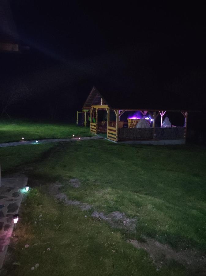 فيلا Casa Alesi Dragoslavele المظهر الخارجي الصورة
